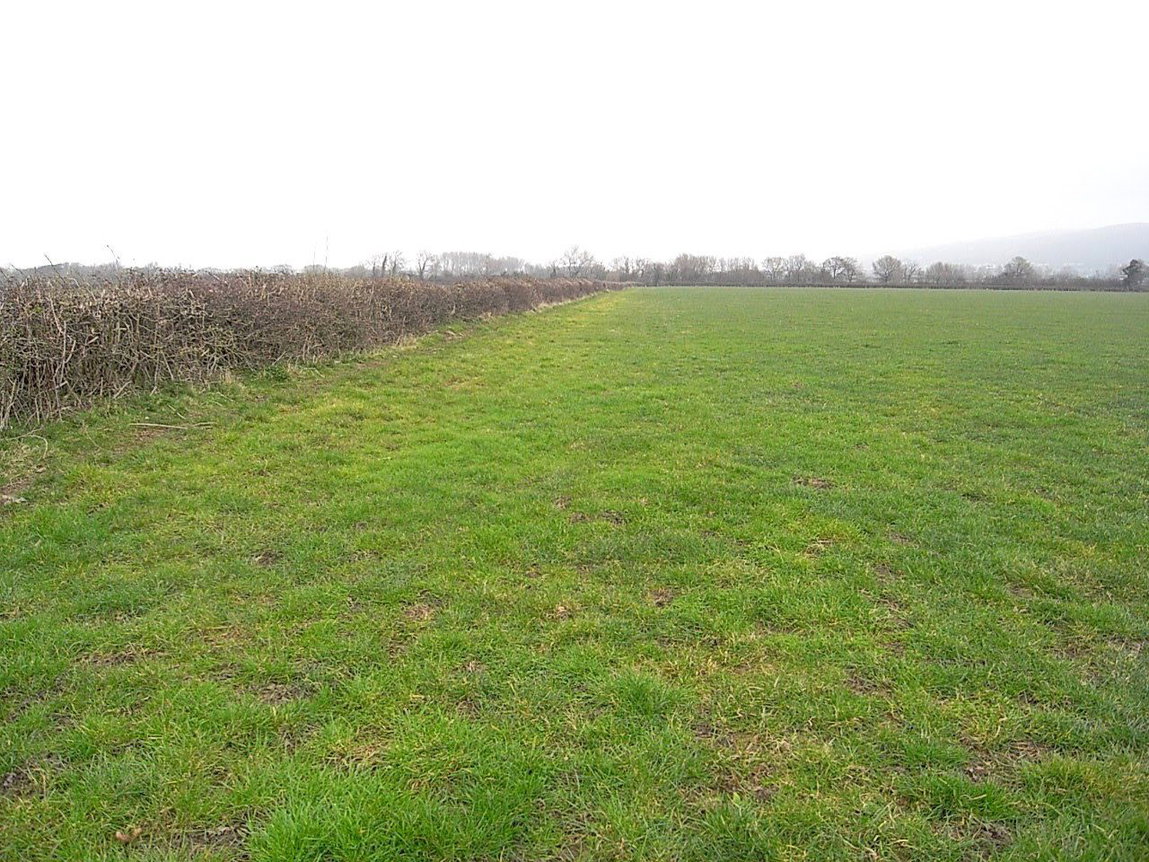 Pydew Plot, Dyserth Road, LL18 6BN