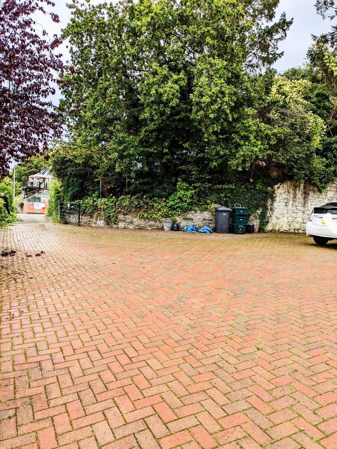 Driveway_1_1785338619376.jpg