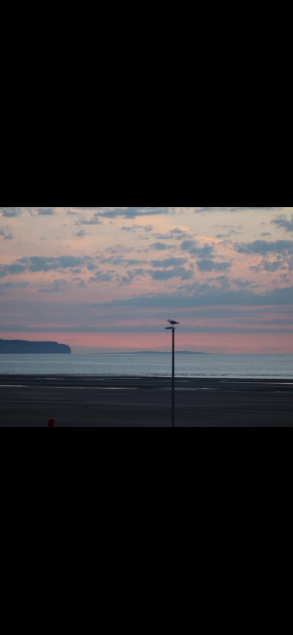 IMG_0377_1789744246695.png