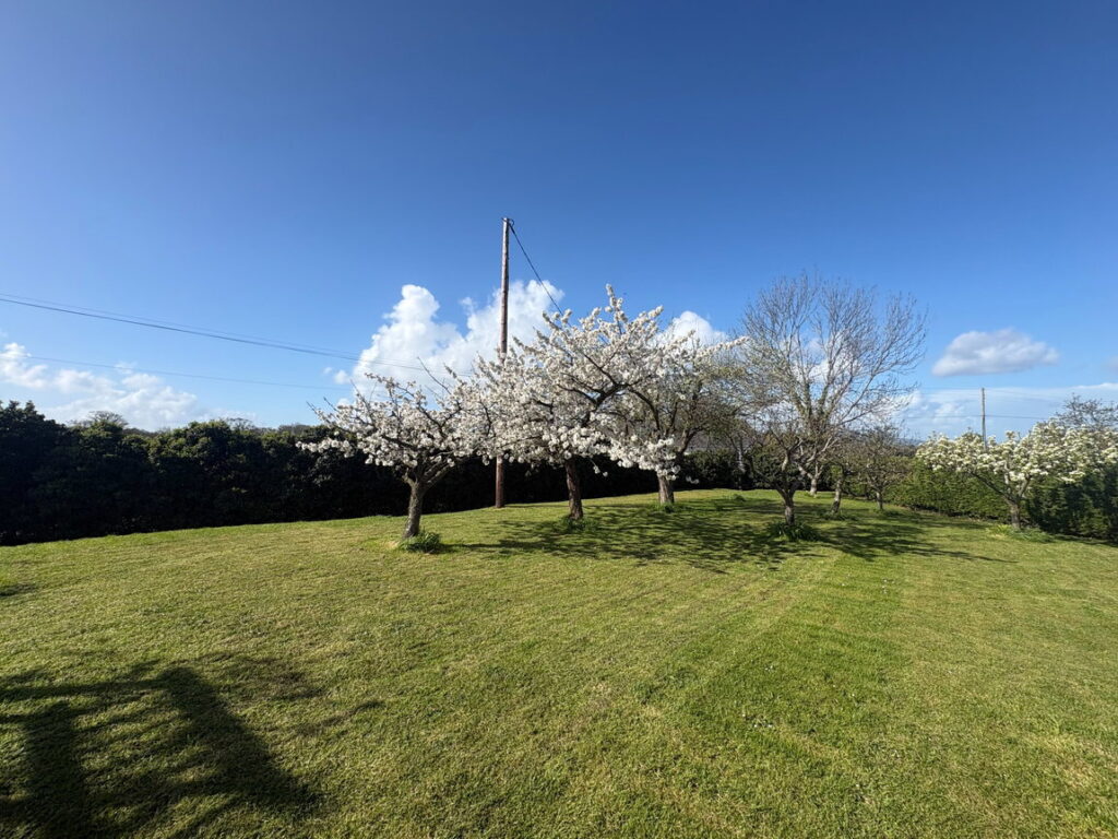 Cwm, Rhuddlan, Denbighshire LL18 5RY