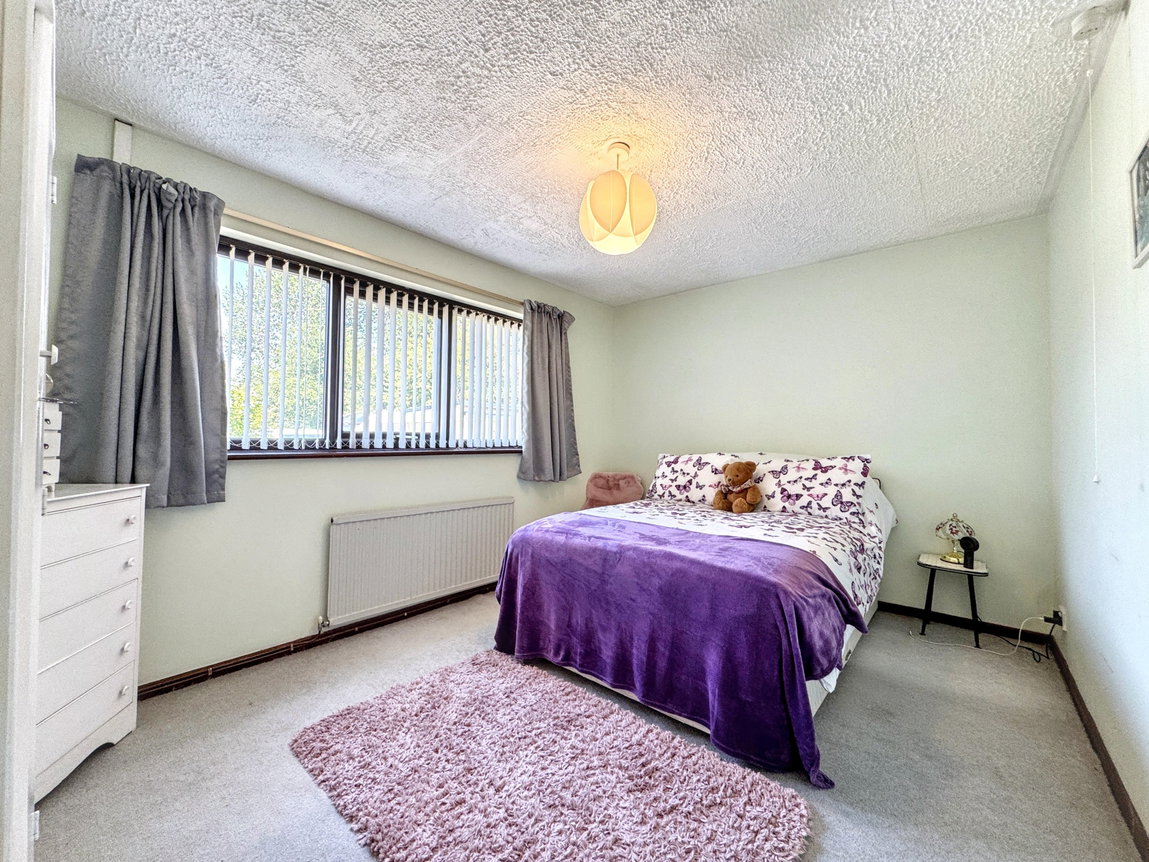 IMG_7062_1787051938708.jpg