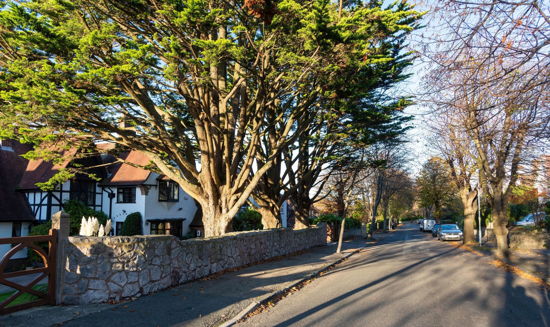 HOUSE PRICES HOLDING STEADY TO DEFY FORECASTS