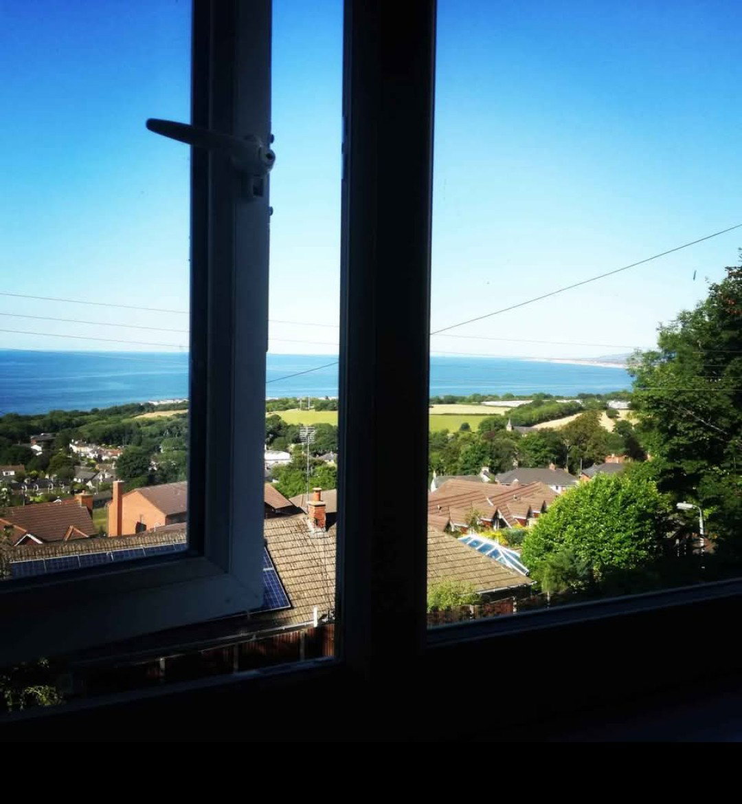 Window-view_1785338771834.png